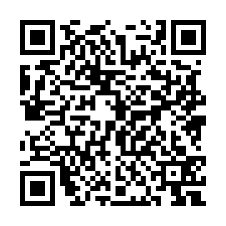 QR code for 3NH5334