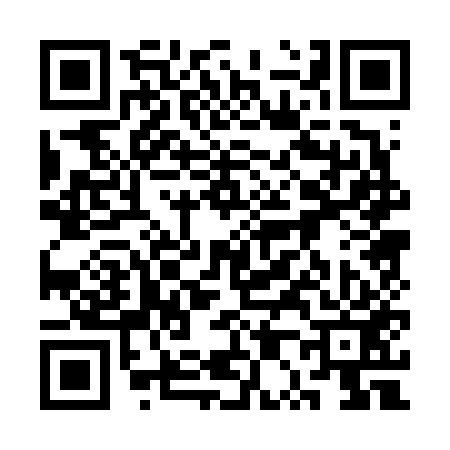 QR code for 3P0653T