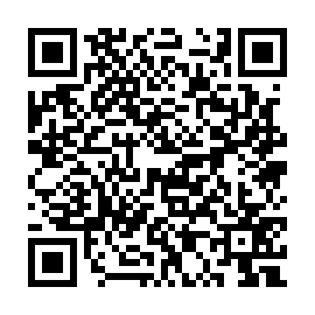 QR code for 3P11777