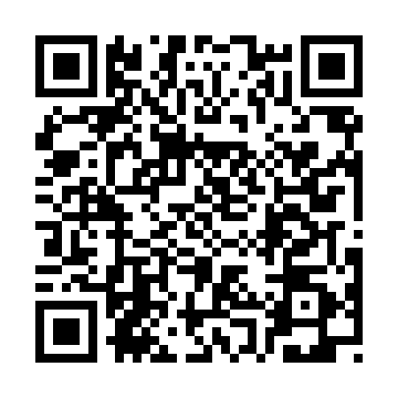 QR code for 3PPL503