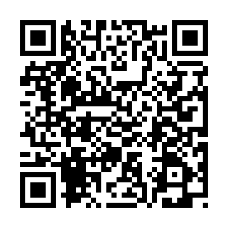 QR code for 3S0195T