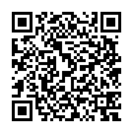 QR code for 3S0438G