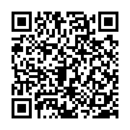 QR code for 3S17383