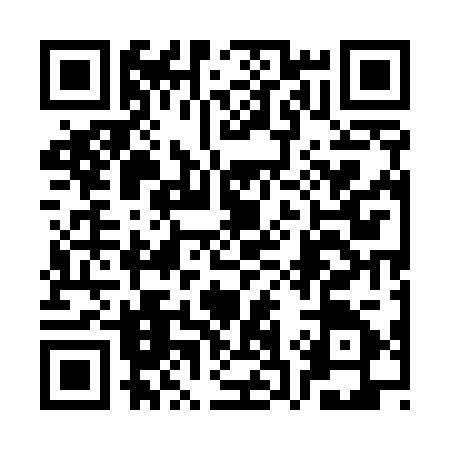QR code for 3S55250