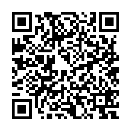 QR code for 3T2929S