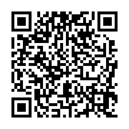 QR code for 3T8295N