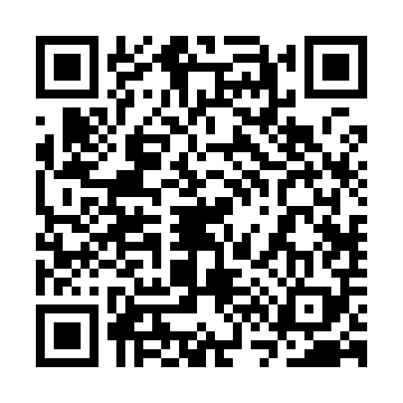 QR code for 3V2909P