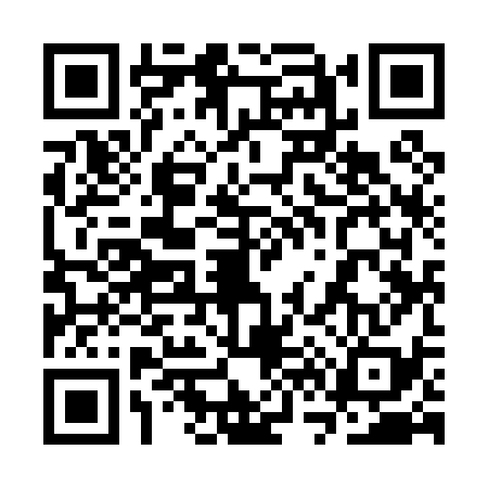 QR code for 3V9038P