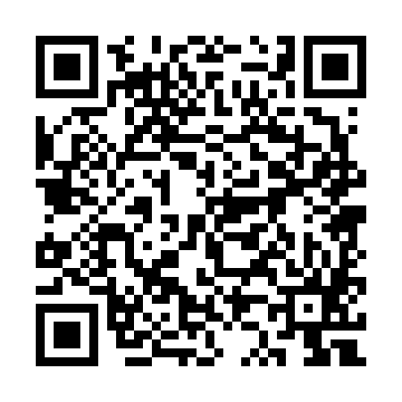 QR code for 3Z0685P