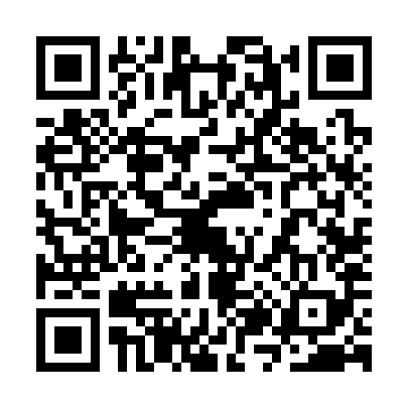 QR code for 3Z6389Z