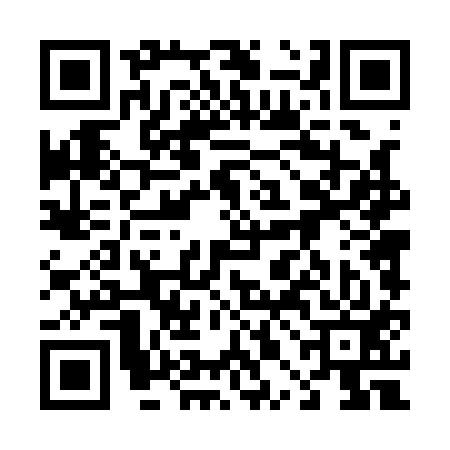 QR code for 40D113P