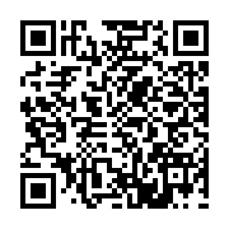 QR code for 40NS739