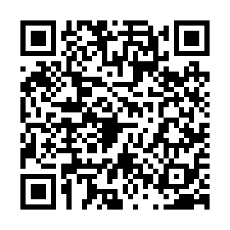 QR code for 40V219L