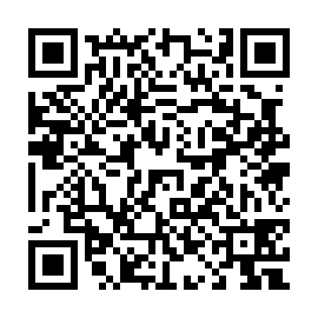 QR code for 41A038P