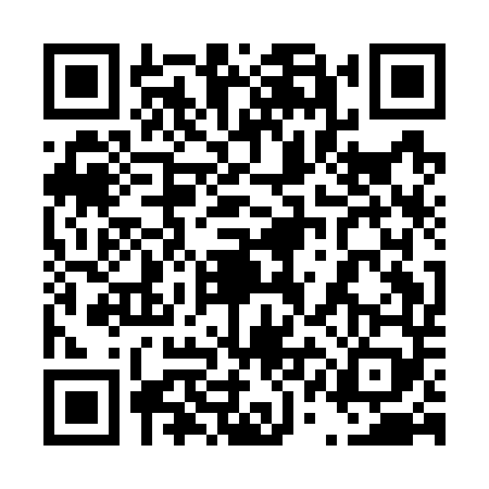 QR code for 41AG495