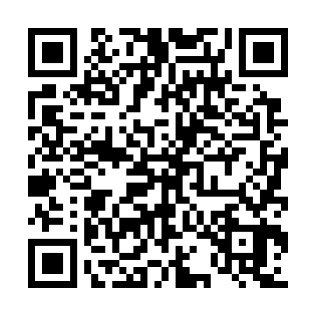 QR code for 41D363P