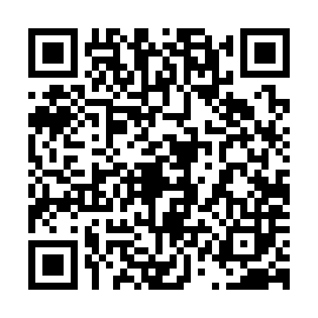 QR code for 41D382V
