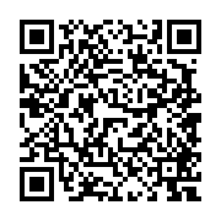 QR code for 41D449P