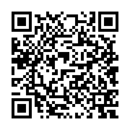 QR code for 41D533B