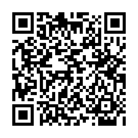 QR code for 41DS531