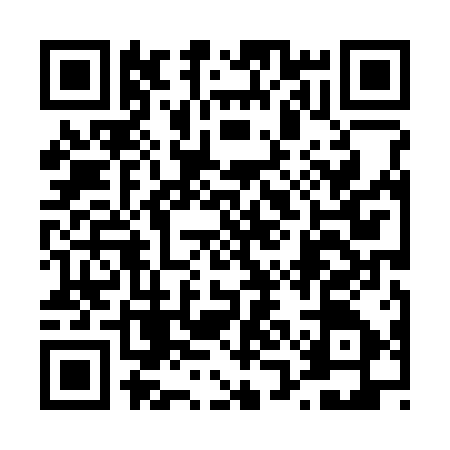 QR code for 41H317W