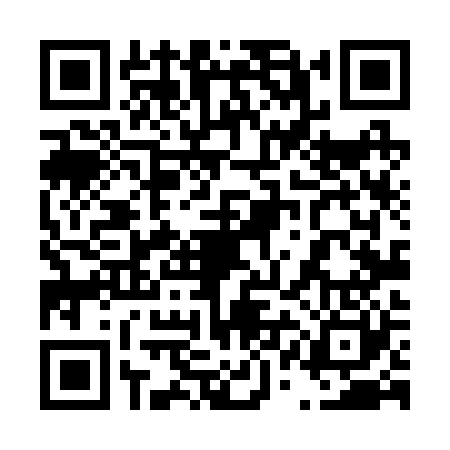 QR code for 41L220M