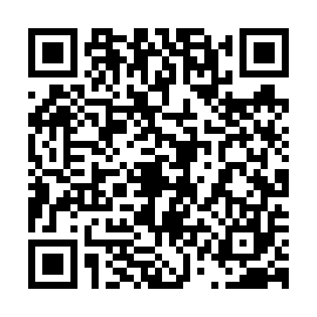 QR code for 41LV579