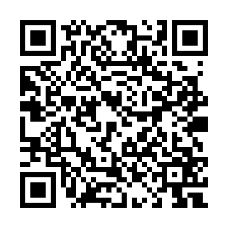 QR code for 41MS668