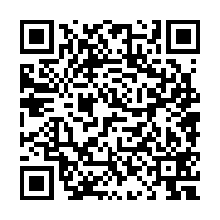 QR code for 41N319F