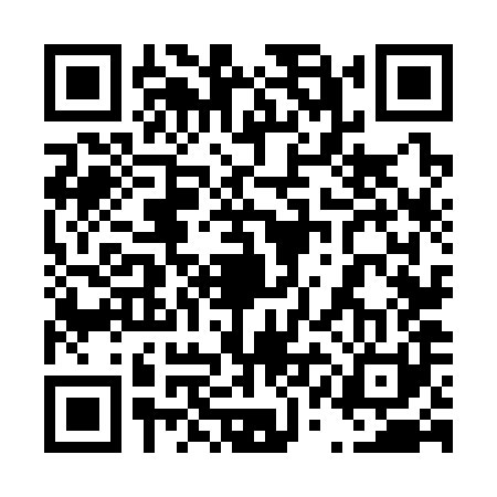 QR code for 41N381S