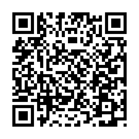 QR code for 41N911D