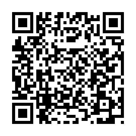 QR code for 41NT513