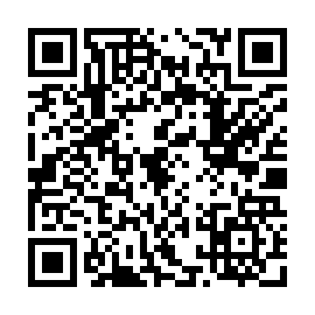 QR code for 41NY273