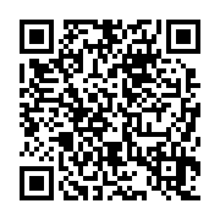 QR code for 41P234G