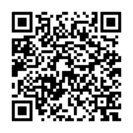 QR code for 41PMG38