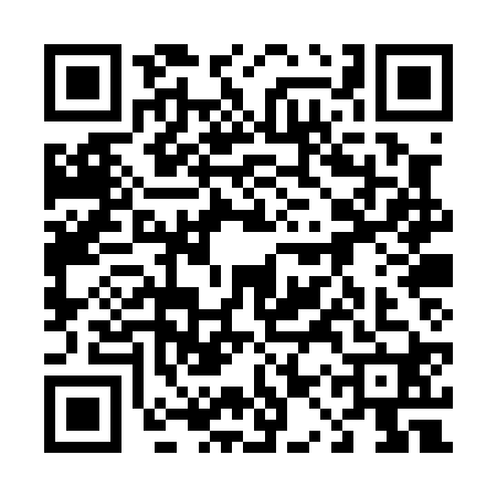 QR code for 41PP201