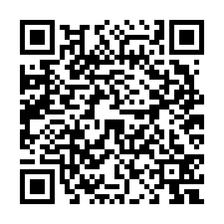 QR code for 41RF333