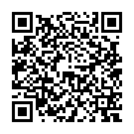 QR code for 41S0600