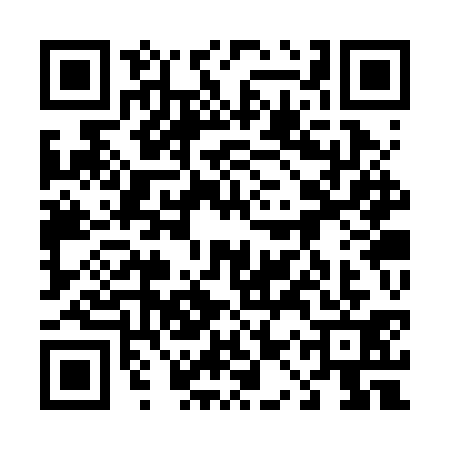 QR code for 41SRS17