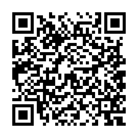 QR code for 41V955L