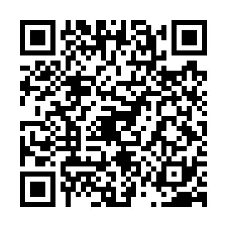 QR code for 41VG319