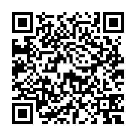 QR code for 41ZK383