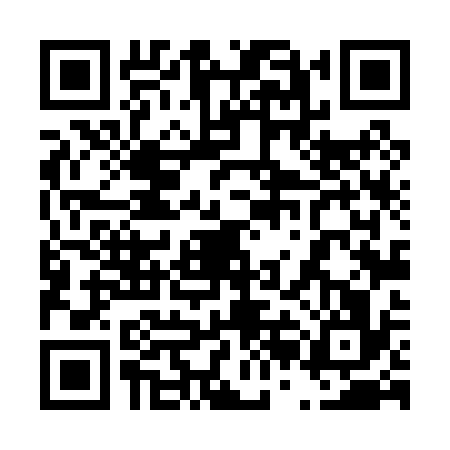 QR code for 42L0369
