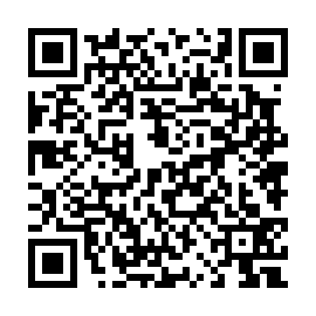 QR code for 42N0337