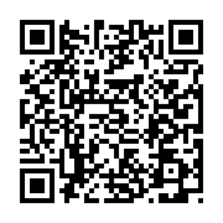 QR code for 42P6020
