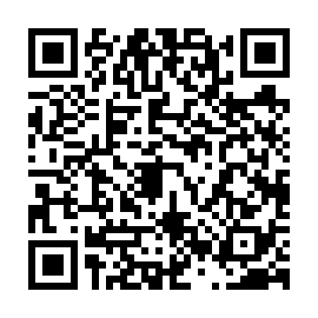 QR code for 42P6381