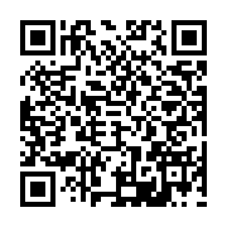 QR code for 42P7334