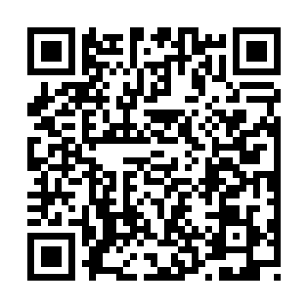 QR code for 42W0291