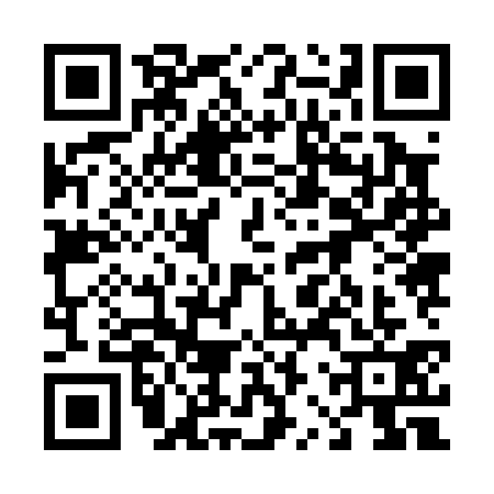 QR code for 42Z0317