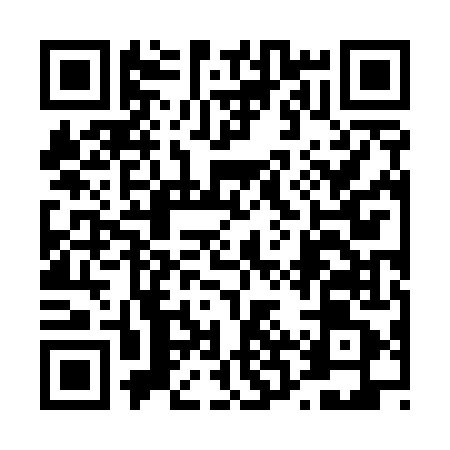 QR code for 42Z541M